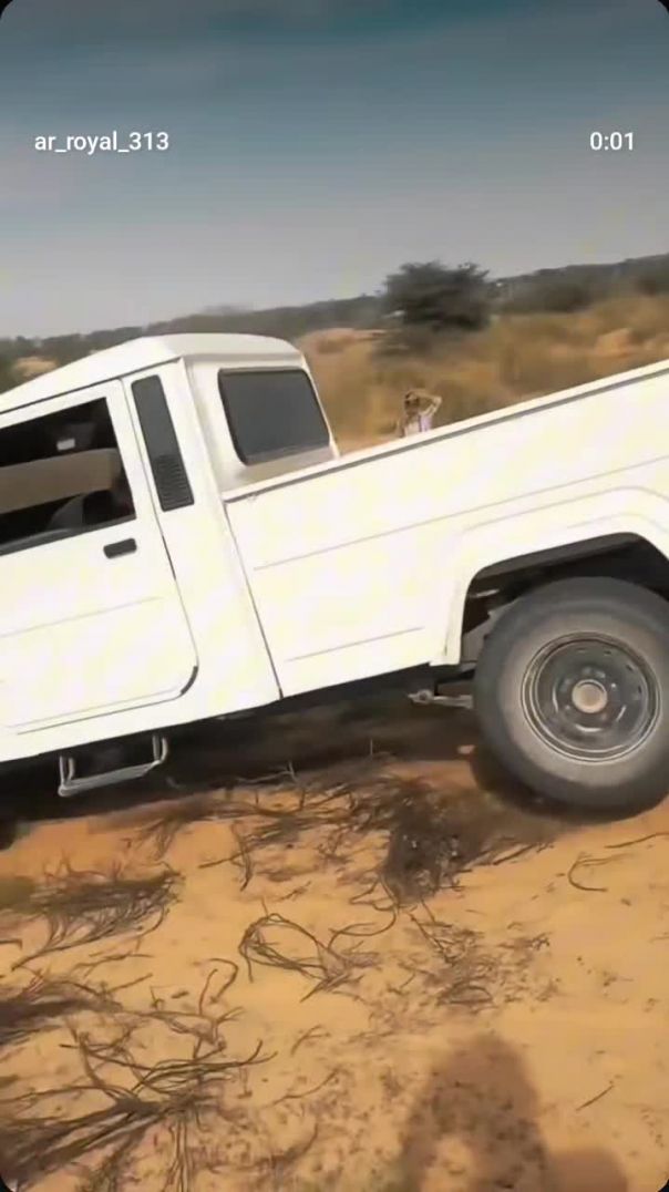 VID_20251208_011713_837