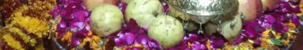 117713081517268656053 