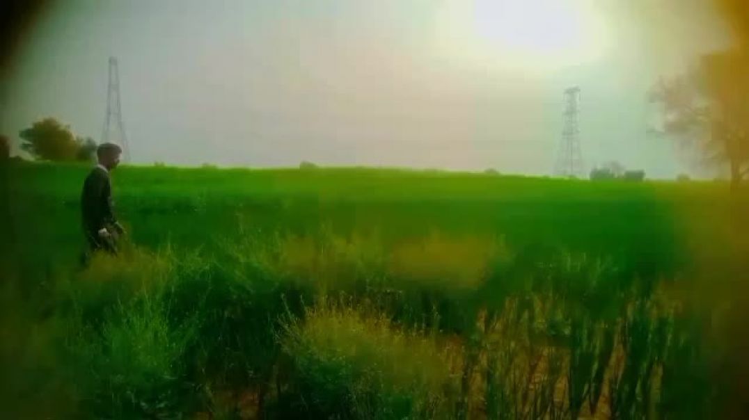 ⁣प्याज कि फसल 🧅🌱... FF GAMER APNATUBE