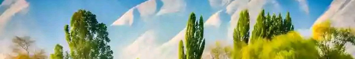 109507522274885252308 