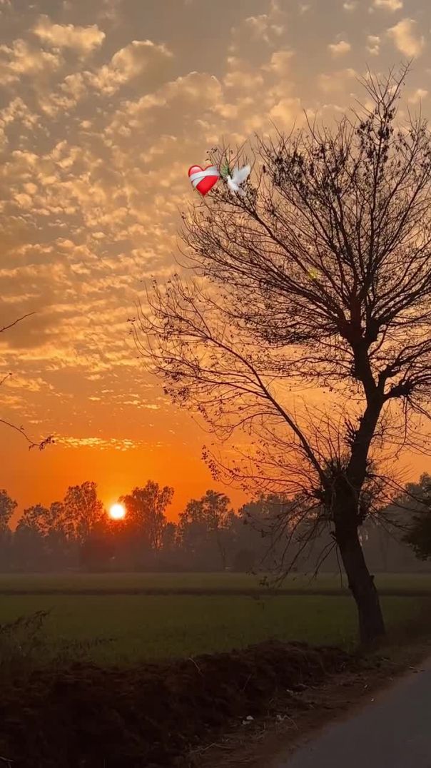 Nature love 😘😘