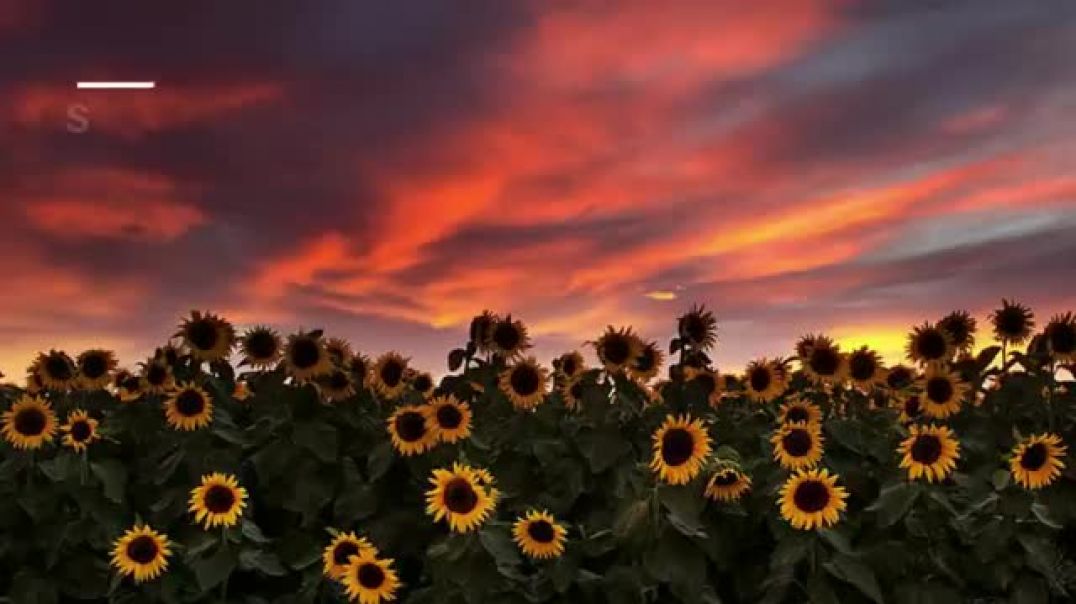 ⁣Agar Tum Saath Ho [Slowed + Reverb] - Arijit Singh, Alka Yagnik