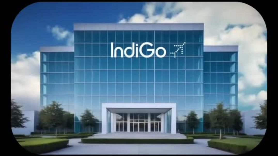 ⁣Indigo ki story