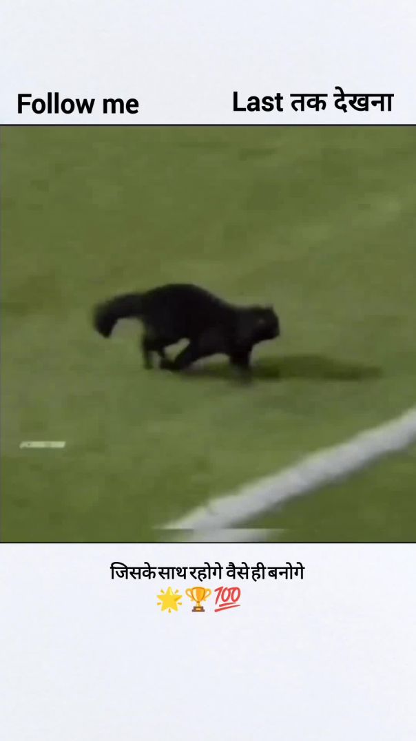 instagram - 3367863675913845021 - motivated_panthers - C69DitmyTkd