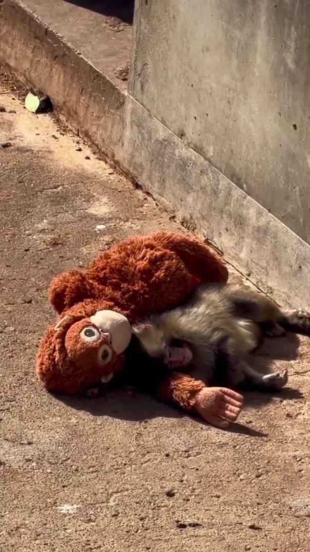 VID_20260226_092430_079