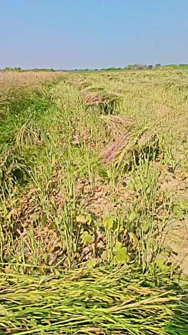 VID_20260226_212115_192