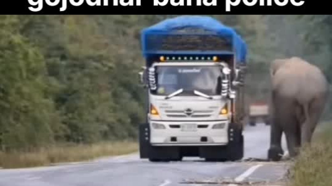 ⁣🐘Gajodhar became policed and second part Dayaram got cheated🦁