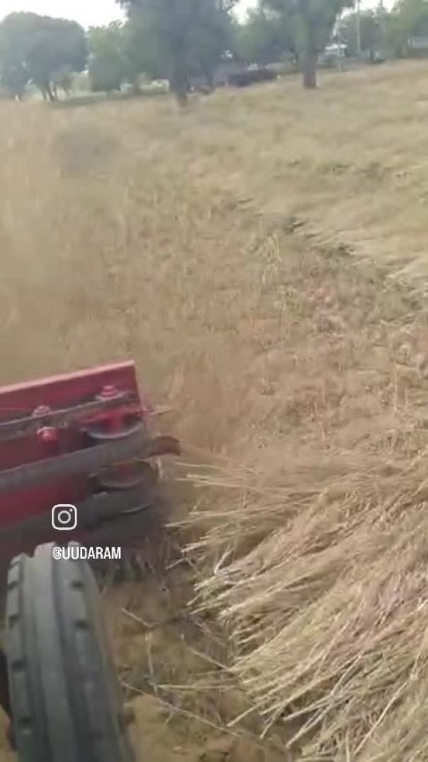 VID_20260210_170223_817