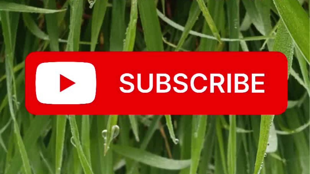 ⁣Defaulter Haryanvi song