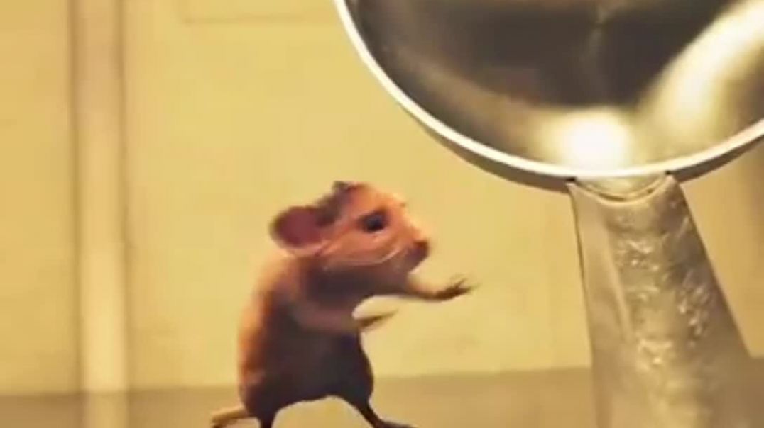 ⁣रहस्य मई दवाई