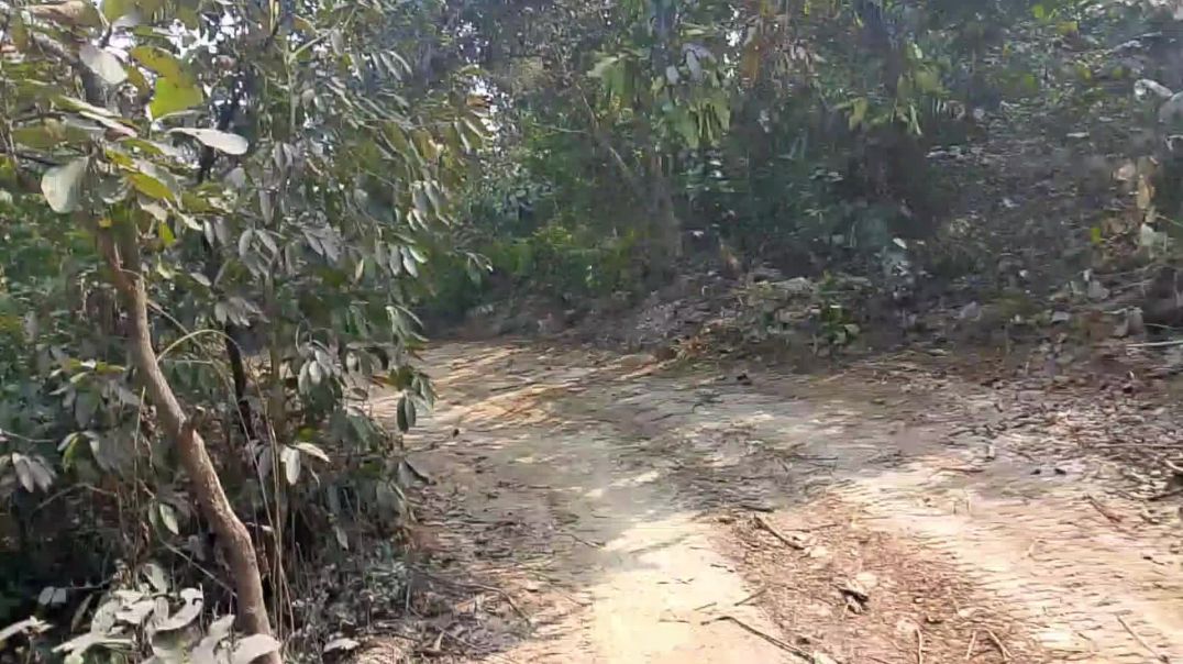 मुल्तानी