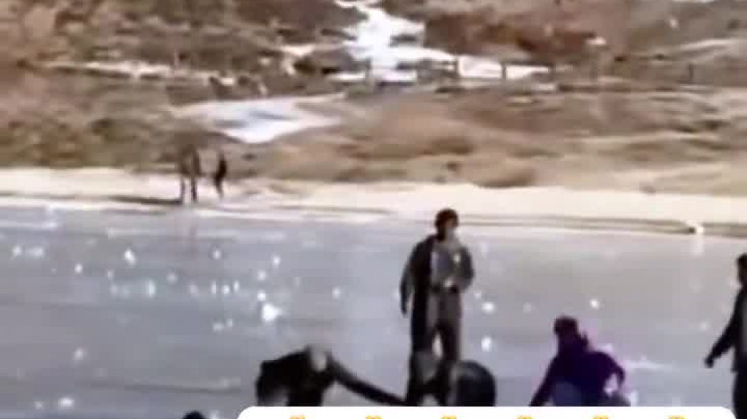 FB_VID_5386062734832346385