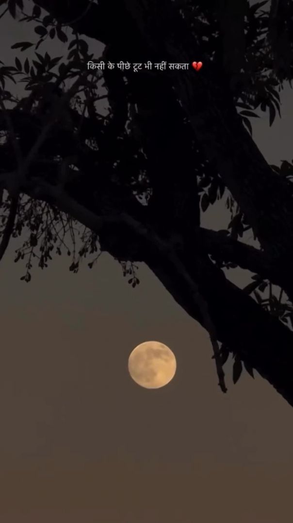 VID_20260206_040933_936