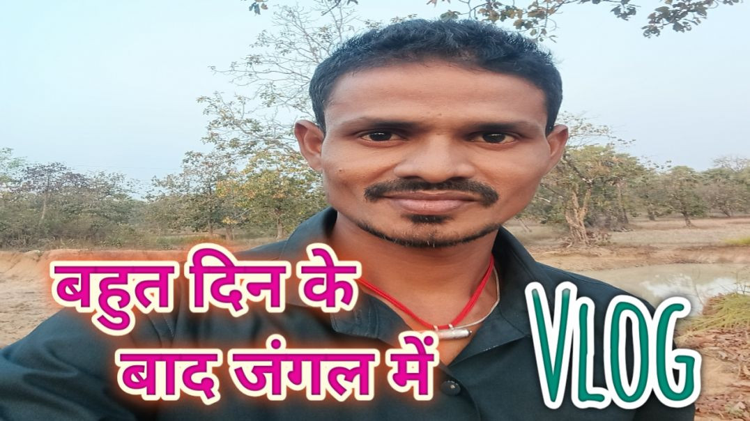 ⁣बहुत दिन के बाद जंगल में । l Vlog