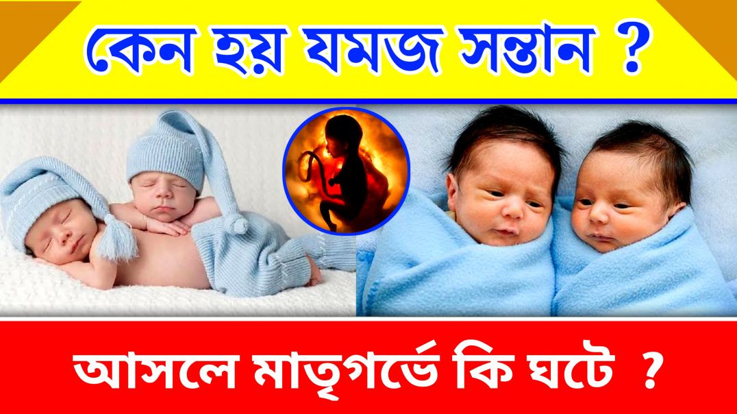 ⁣যমজ সন্তানের সম্ভবনা কিভাবে? |  Twin Child