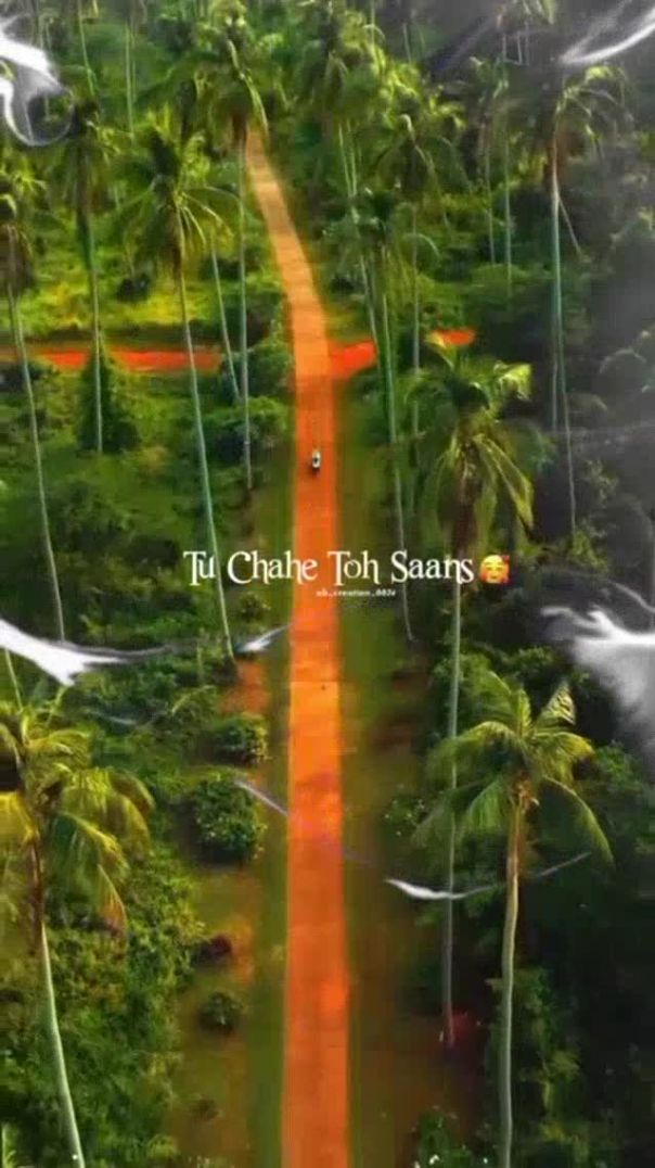 Tere dil ki Awaaz hu main song