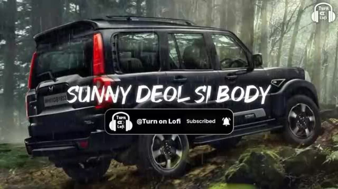⁣Sunny Deol Si Body Re ( Slowed _ Reverb ) Raju Punjabi _ Choudhar Jaat Ki Latest Haryanvi Song(360P)