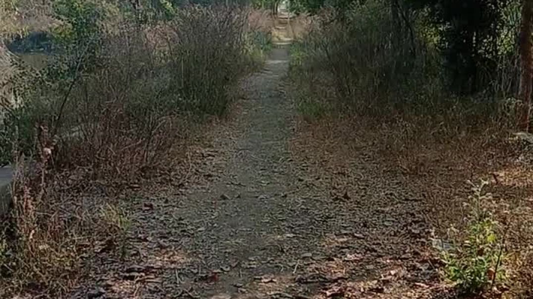 video_20260209_155646