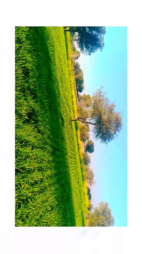 Trending video viral reels