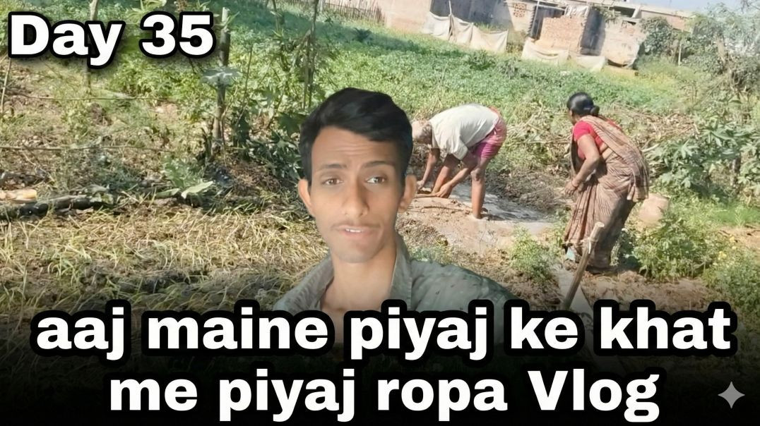 ⁣Day 35 😮 Pyaj Ke Khet Me Pyaj Ropai | Real Village Life Vlog