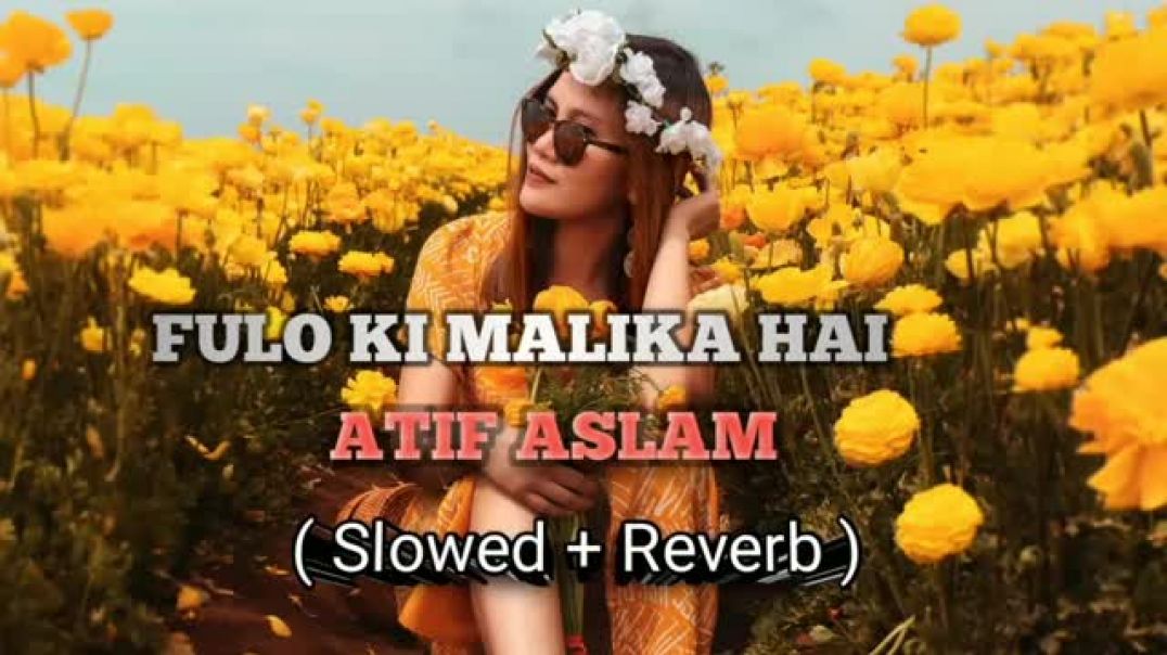 ⁣Fulo_ki_malika_hai_song___Slowed___Reverb__Song_by_👑_Atif_Aslam_-_Please_Support_me_🥺🥺(360p)