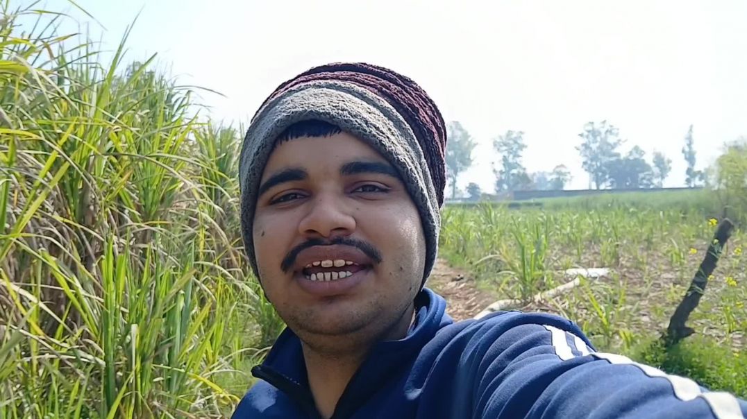 #villagevlog #gaonkilife #farminglife #desivlog #rurallife #indiavillage