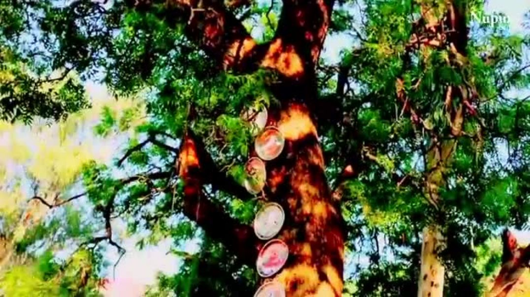 ⁣Ghar Ke Dwar Pe Bajrangi Ka Pahra _ Lakhbir Singh Lakha _ Hanuman Bhajan _ Latest Hanuman Bhajan(360