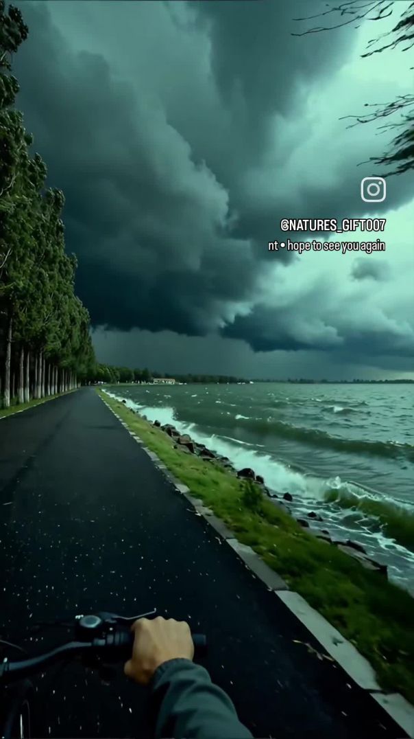 VID_20260210_225042_304