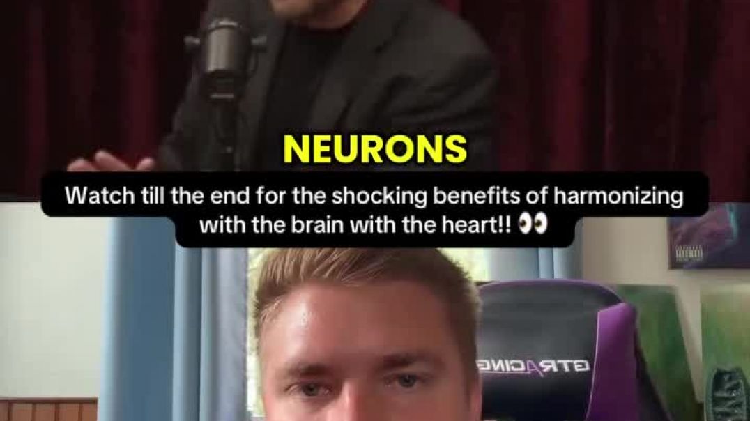 video_90d890a0_a3e2_4f2b_ab84_d2e5c773f2