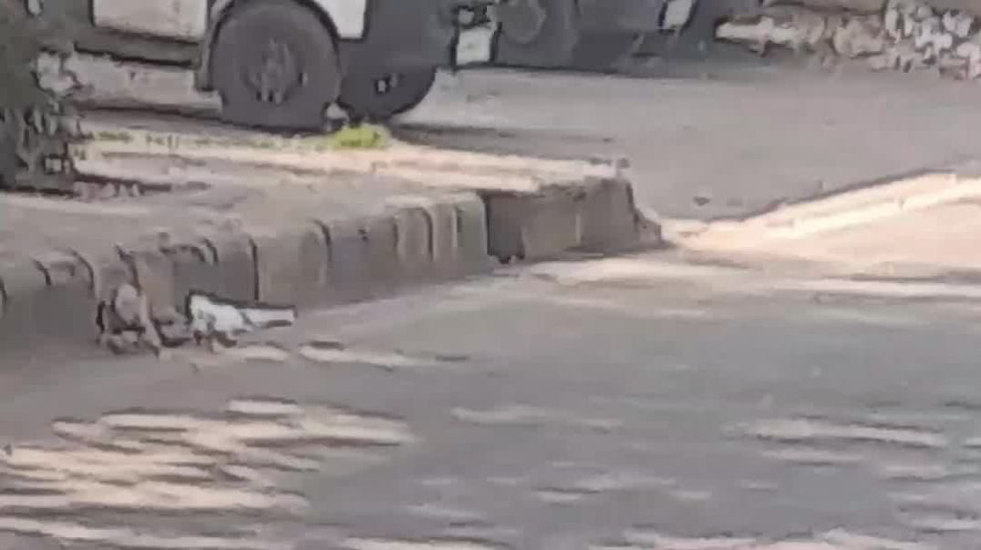 ⁣एको एक्सप्रेस – सीट नहीं, सेटिंग सिस्टम” 🚐💨