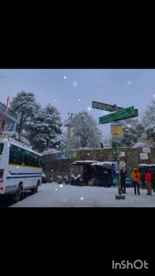 InShot_20260111_211427102