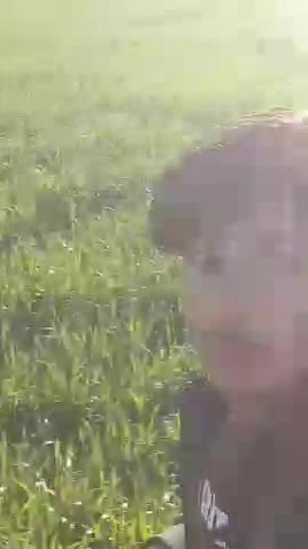 Viral video trending video