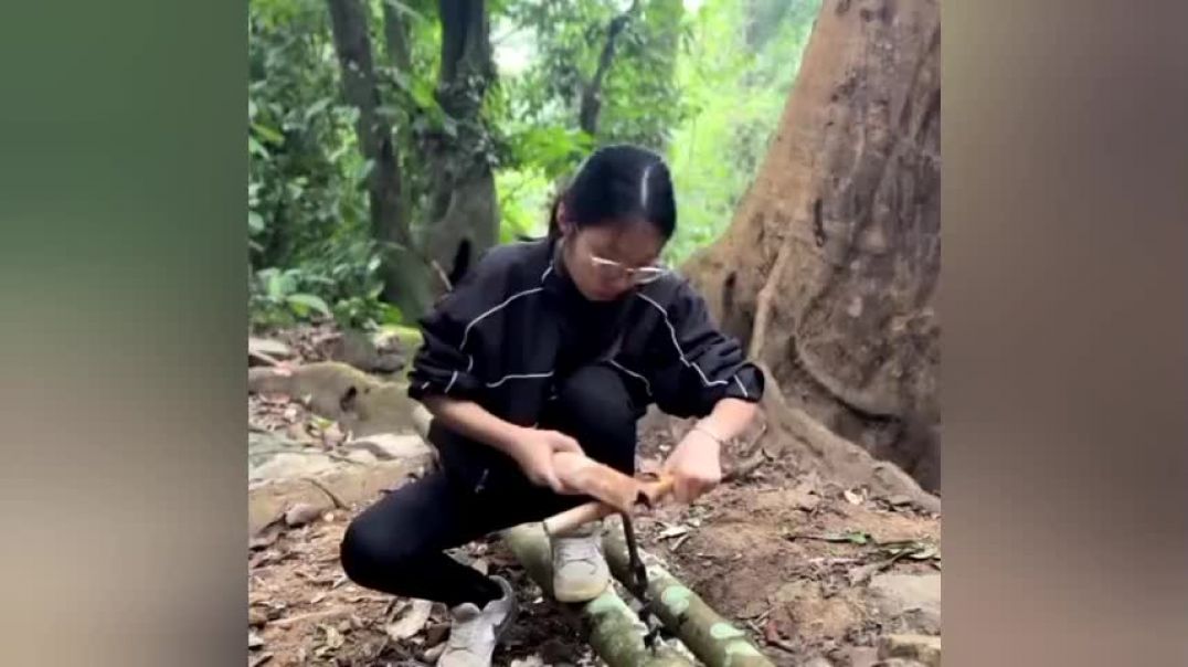 ⁣जंगल में घर