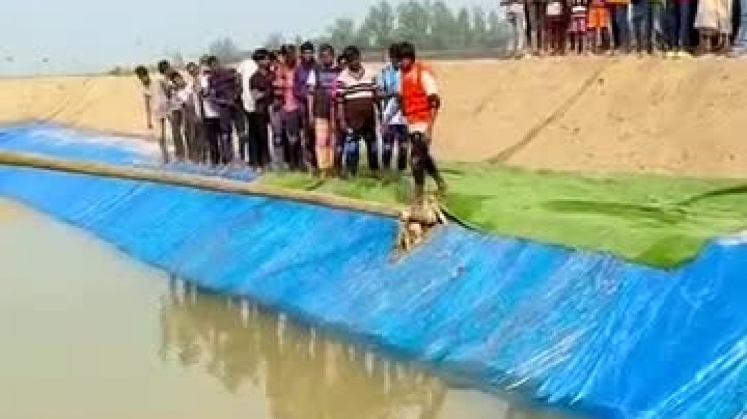 ⁣VID-20260212-WA0014