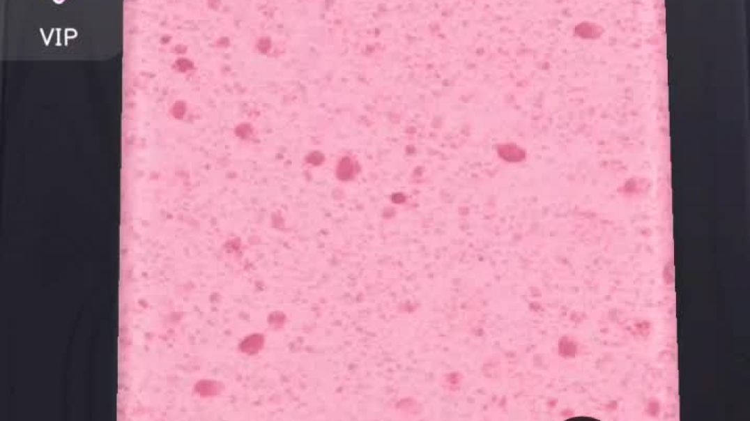 XRecorder_20260131_01