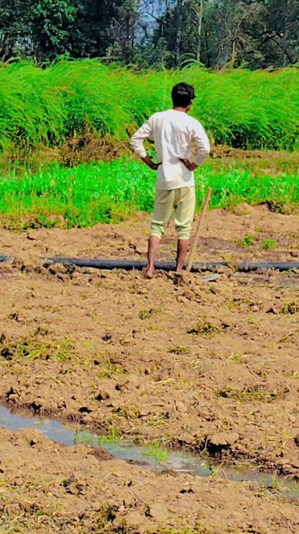 VID_20260219_001744_252