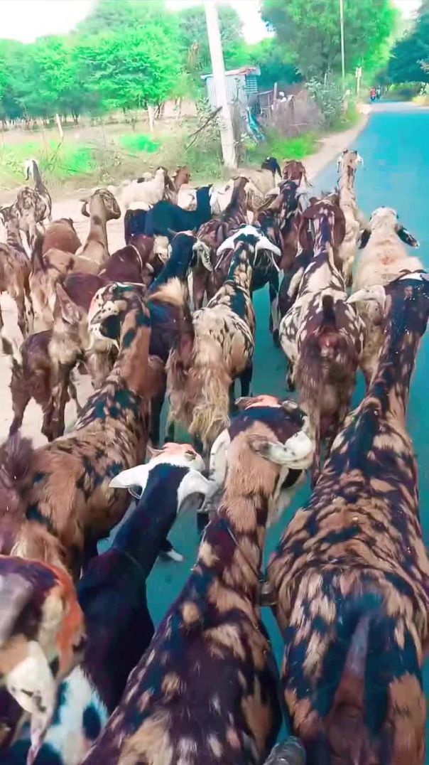 #💫👀🖤🖇️__