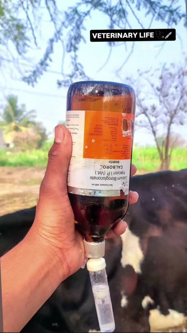 drx__jd-20260125-0002