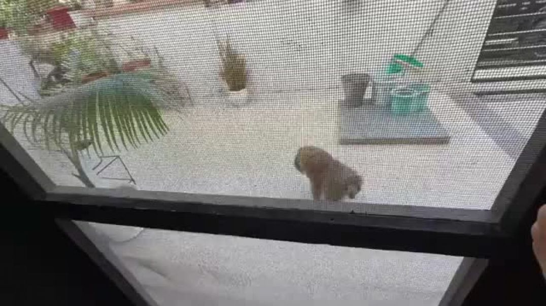 ⁣New_Ghar_Ka_Living_Room_😍_Finally(360p)