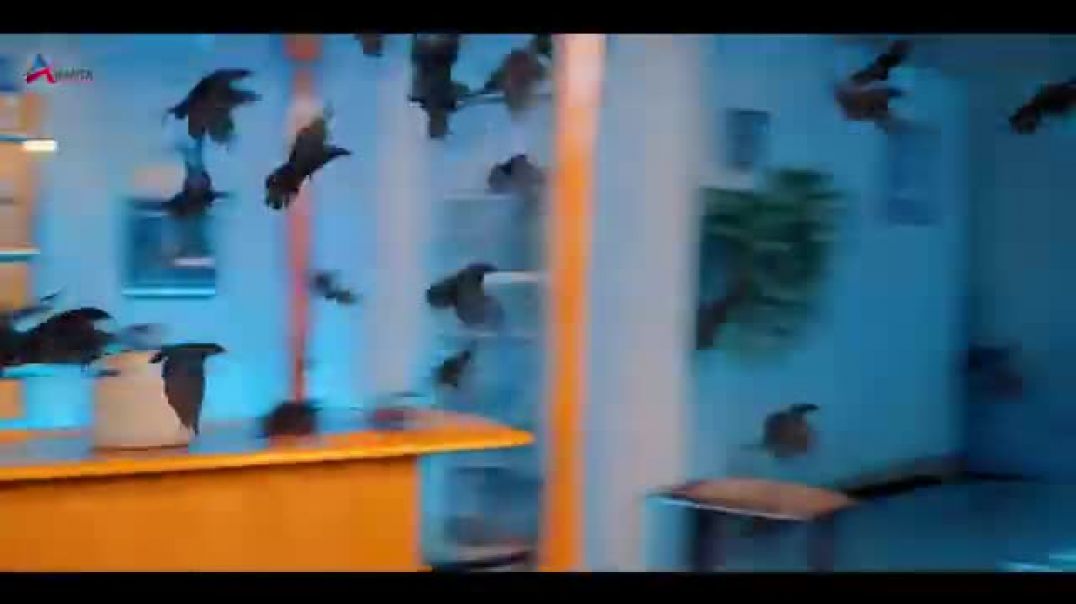 ⁣#Video___राजा_जान_मारे___#khesari_lal_yadav___shilpi_raj___#dimpal_singh___#bhojpuri_song_2026(360p)