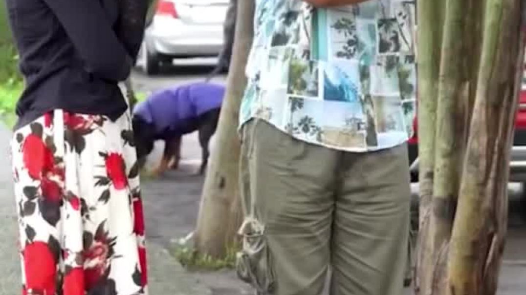 ⁣Funny videos 🤣