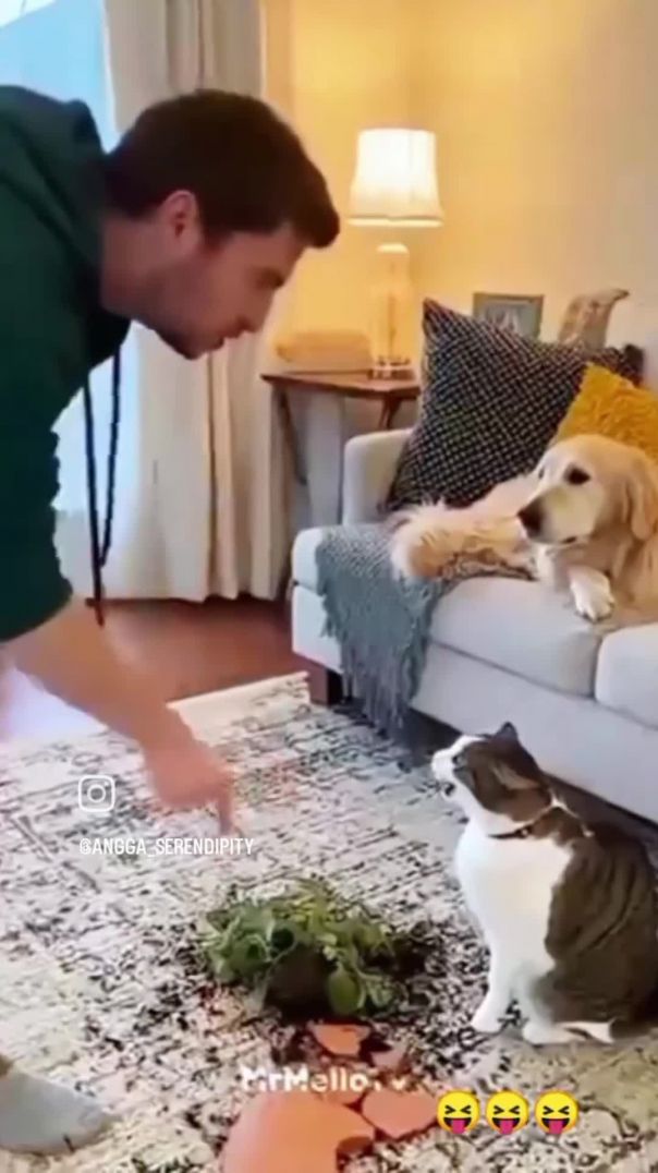 VID_20260201_080709_02