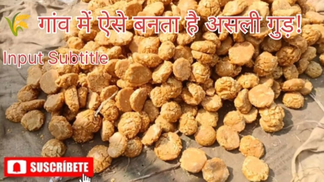 ⁣🌾 मेहनत का मीठा फल – अपना बनाया गुड़! Vlog