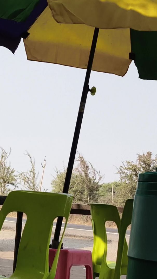 video_20260212_095108