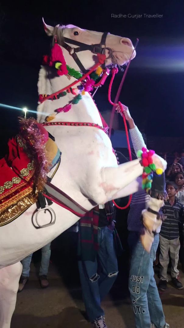 भाई की शादी का माहौल,.. 🎉🎉