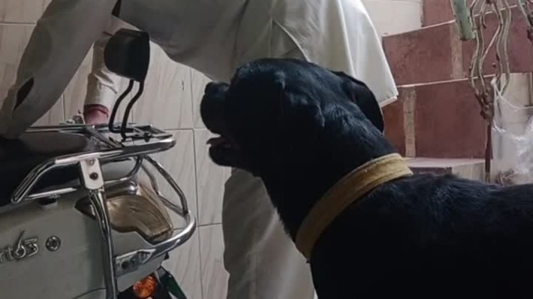 ⁣Kya baat hai Billu