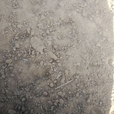 M_s__sisodiya_7773 M_s__sisodiya_7773