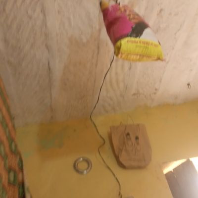 107806513223463233504 