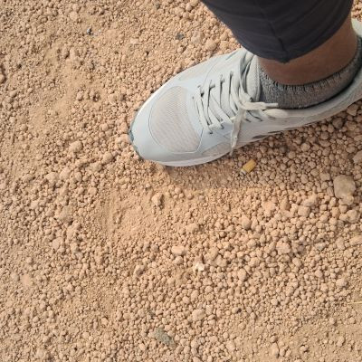 106715505376513060175 