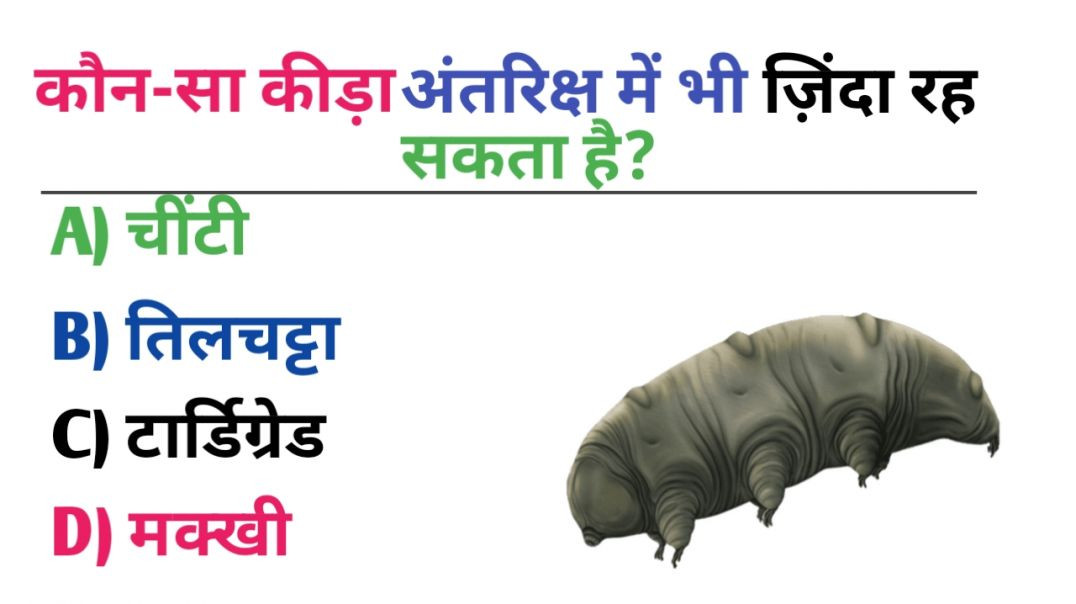 ⁣कौन-सा कीड़ा अंतरिक्ष में भी ज़िंदा रह सकता है? GK Question || GK In Hindi ||